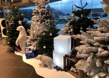 50a32558-4261-45a1-af2f-b7955686359b