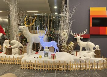 IMG_1786_2