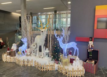 IMG_5586